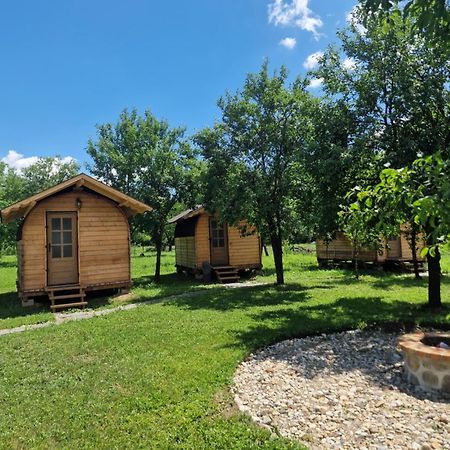 Cristel Casuta Fara Ganduri Hotel Mesentea Екстериор снимка